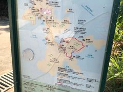 -南丫岛