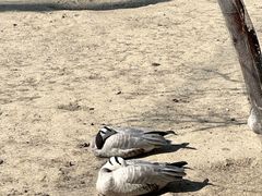 -水上乐园·欢乐世界