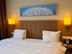 -长白山万达锦华套房酒店