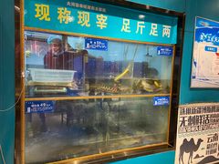 水产区-大河宴鱼台头(金凤万达店)