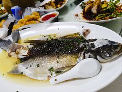 清蒸泉水鲩鱼-成惠食府(赤岗店)