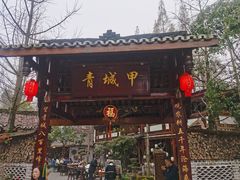 -青城甲(青城山店)