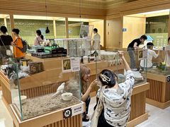 -帕帕拉兹宠物(亚洲旗舰店)