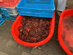 -盱眙虾怪·旗舰店