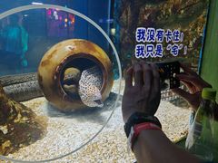 -顺德南宏海立方海洋公园
