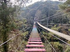 -龙岩森林水乡景区