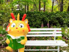 -上海共青森林公园