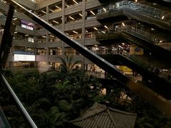 -黑龙江中医药大学附属第一医院