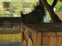 -大连森林动物园