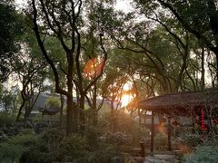 -天一阁博物院