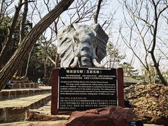 -山叶口景区
