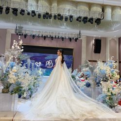 -艾米丽婚纱礼服