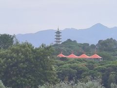 -风云岭森林公园