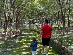 -大兴滨河森林公园