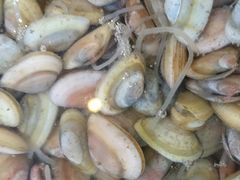 iphone_upload_pic-合家小菜餐馆(新诚花苑店)