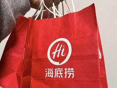 -海底捞火锅(铂澜大象城店)