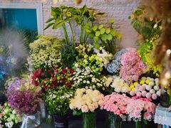 -杭州街角花屋花店(闻堰店)