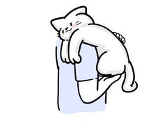 -翊宠yipet猫狗购宠庄园犬舍•猫舍