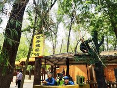 -滕州微山湖红荷湿地景区