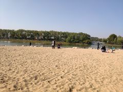 -大兴滨河森林公园