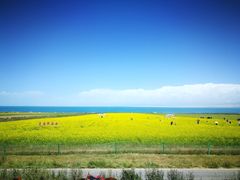 -青海湖国家重点风景名胜区