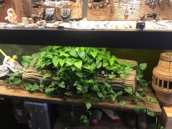 -周忆刺青原创设计定制