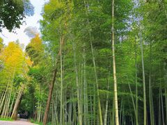 -同里国家湿地公园