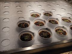 -汉巴味德(沈阳万象汇店)