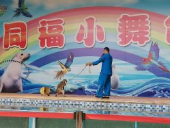 -塔元庄景区