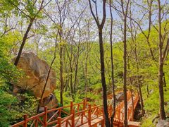 -大岭沟猕猴桃谷风景区