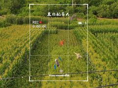-遥桥古堡