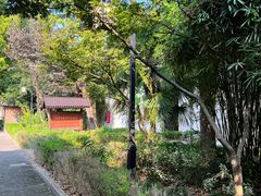 -枫泾古镇-人民公社旧址