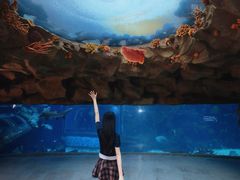-南昌融创海世界
