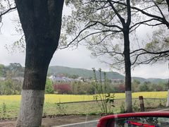 -韶山毛泽东同志故居