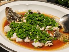 -许家菜(望江店)