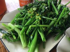 -广州市流溪河国家森林公园
