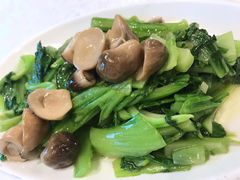 草菇盖菜-马凯餐厅(地安门店)