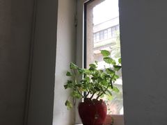 靠窗位-成记海鲜粥(意大利风情街店)