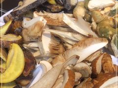 -野菌皇海景野生菌火锅(滨海大道店)