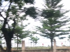 -东海岛旅游度假区