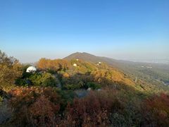 -紫金山天文台