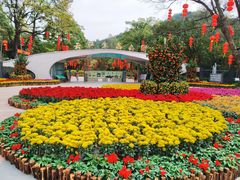 -云溪植物园