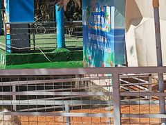 -光明农场大观园