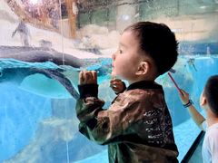 -大连圣亚海洋世界