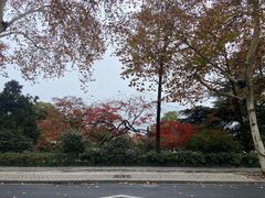 -杭州香格里拉·香宫中餐厅