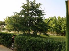 -赵州桥景区
