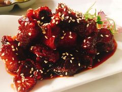 -院8里·少城记忆老川菜(宽窄巷子店)