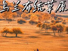 -乌兰布统草原