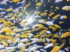 -成都浩海立方海洋公园