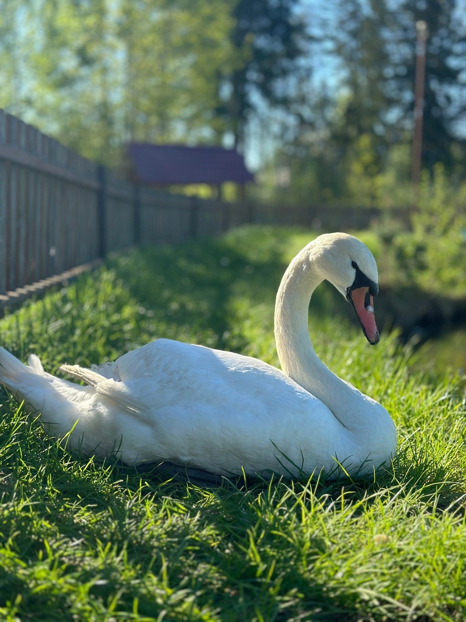 小动物的自然家园